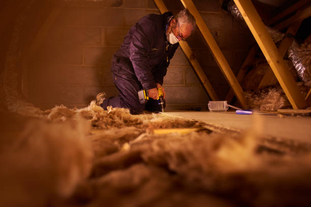 Best Attic Insulation Installation  in Elkhart, TX